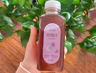 双梅汁