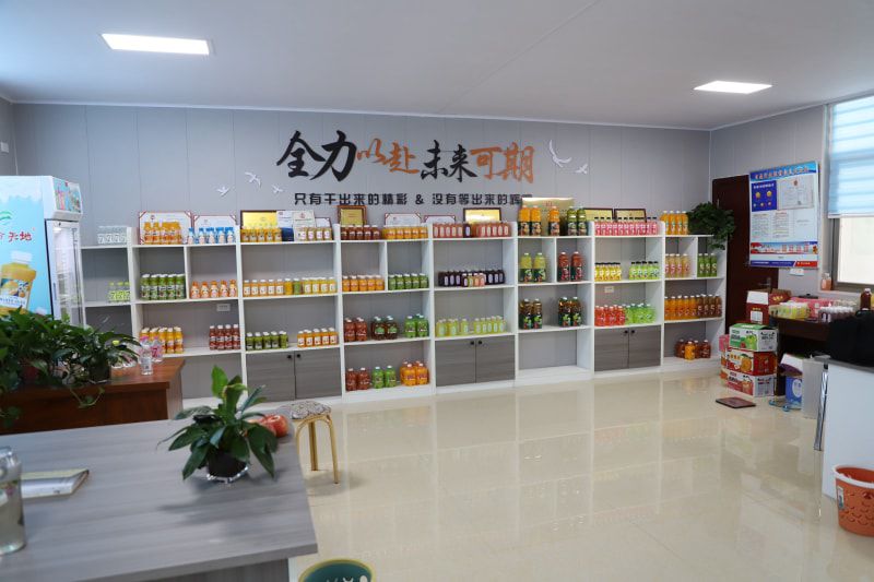 成功案例
