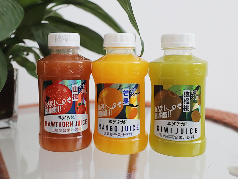 380ml复合果汁饮品