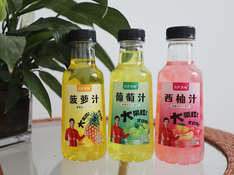 450ml大果粒系列